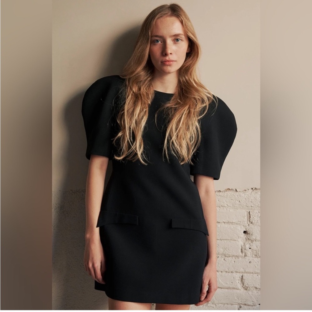 Zara Black Puff-Sleeve Mini Dress - Women's